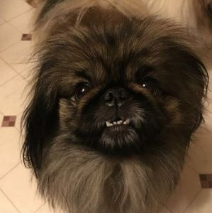 Meet your Posher, Mr